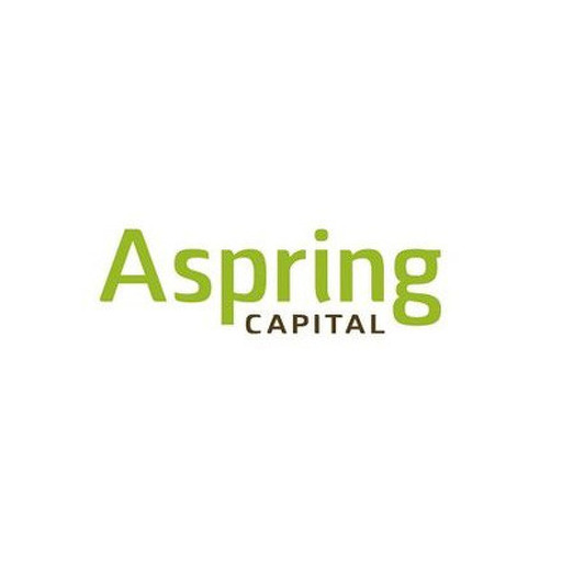 Стажер, Aspring Capital
